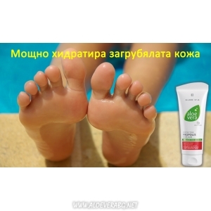 Aloe Vera Propolis Cream