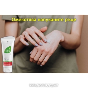 Aloe Vera Propolis Cream