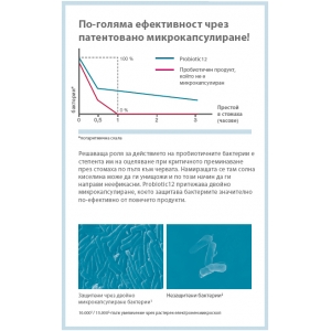 Подсилва имунната система, благодарение на внасянето на баланс между бакктериите в червата!