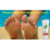 Aloe Vera Propolis Cream