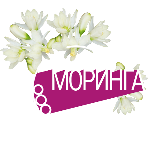 Екстрактът от моринга премахва от кожата мъртвите клетки и замърсяванията от околната среда, почиства в дълбочина и възпрепятства натрупването на нови замърсявания.