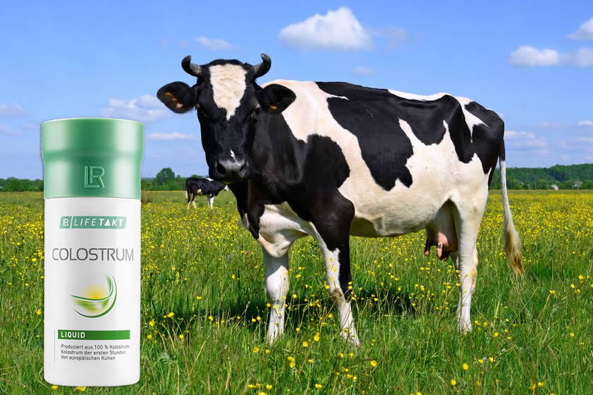 Colostrum (Коластра) се употребява при различни заболявания